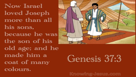 Genesis 37:3 He Made Him A  Coat Of Many Colours (brown)